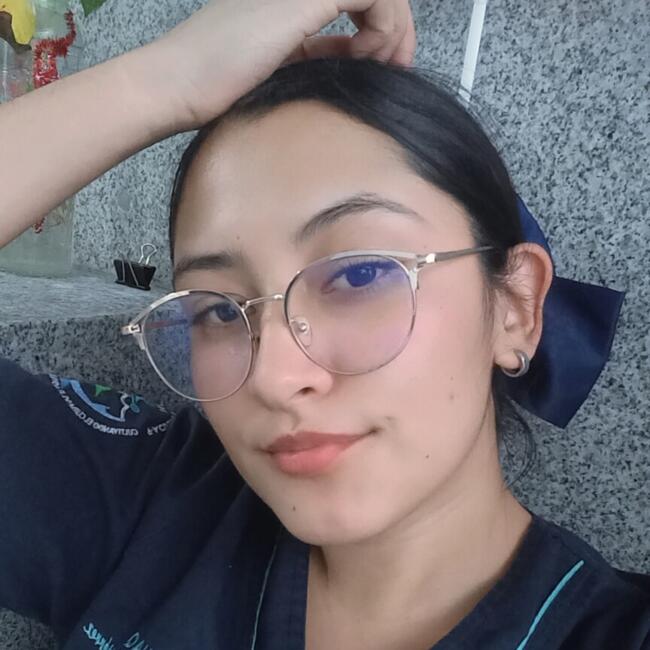 Babysitter in Querétaro City: Alejandra