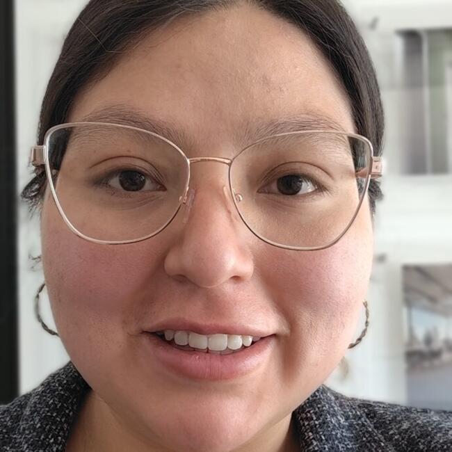 Babysitting job in Lo de Diéguez: Rosselyn