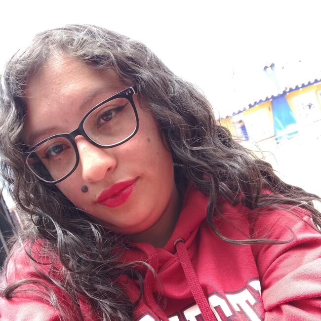 Babysitter in Bogotá: Erika Susa