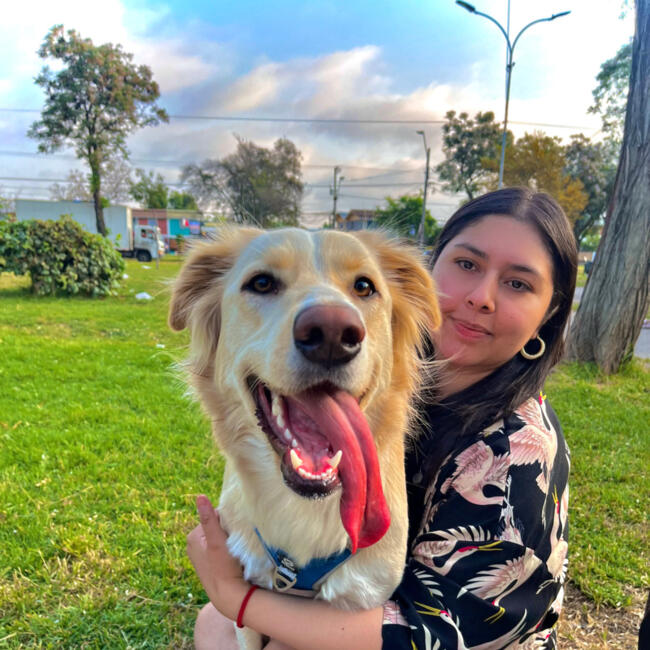 Babysitter in Port Montt: Jeanira