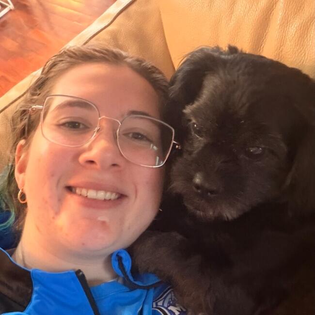 Babysitter in Chestermere: Torrance