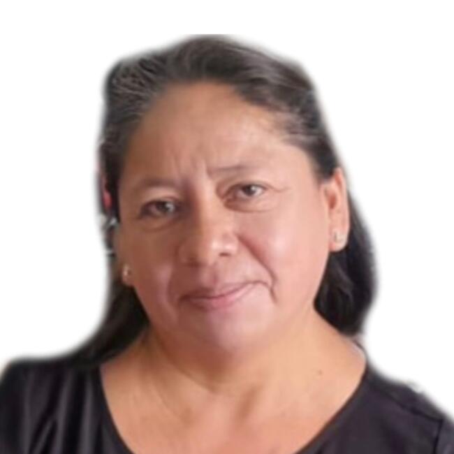 Baby-sitter in Lourdes: Alicia de Alvarenga