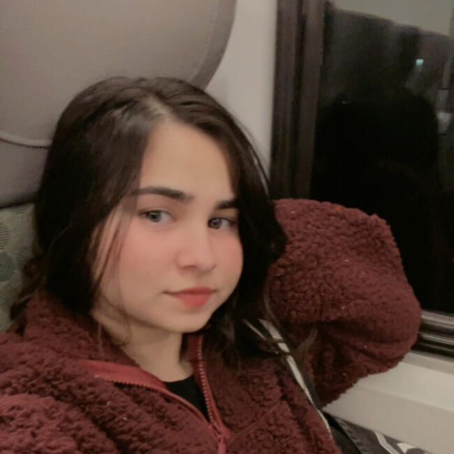 Baby-sitter in Hamilton: Reetika