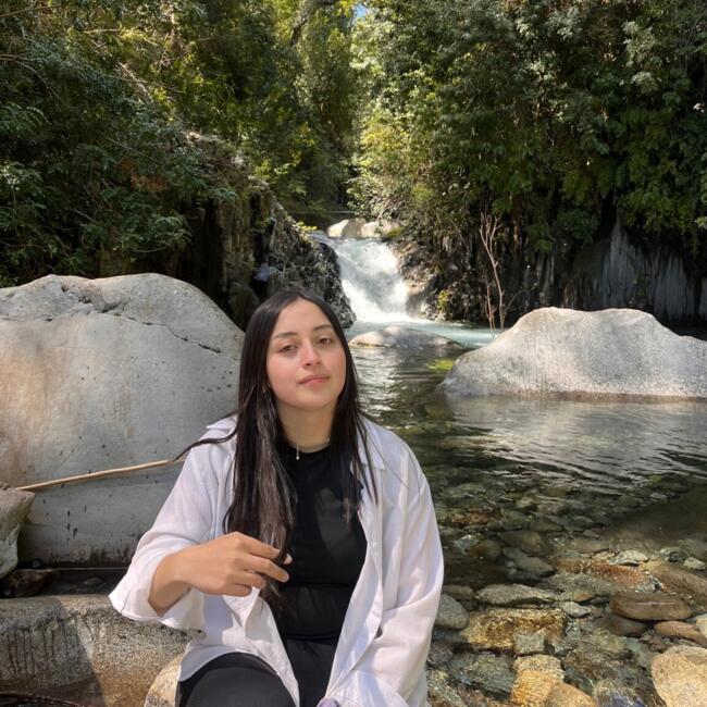 Niñera en San Javier de Loncomilla: Sofía Noemí Córdova Arellano