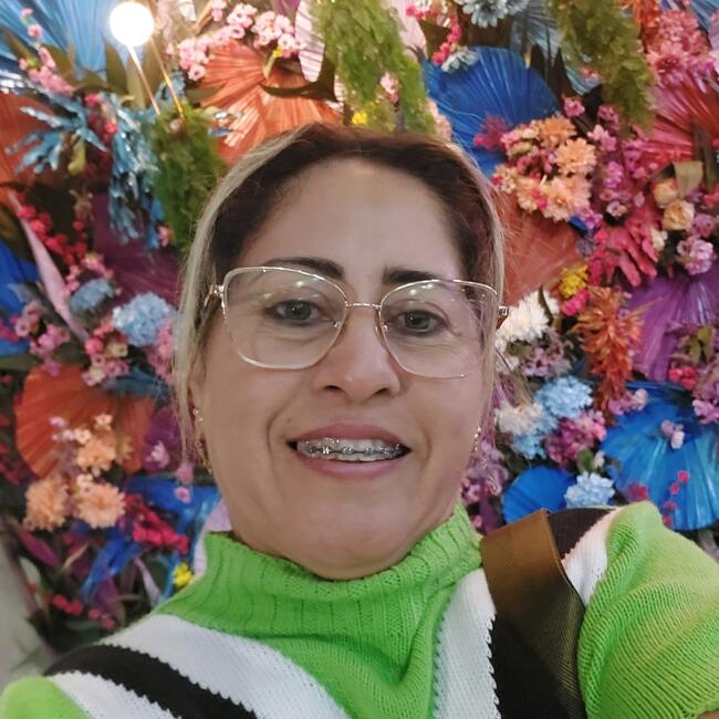 Babysitter in Itajaí: Vanusa