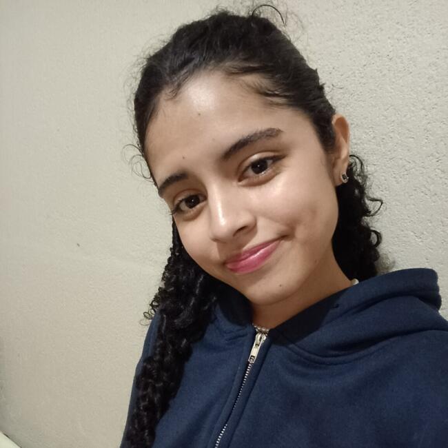 Babysitter in Desamparados (Provincia de San José): Stacy