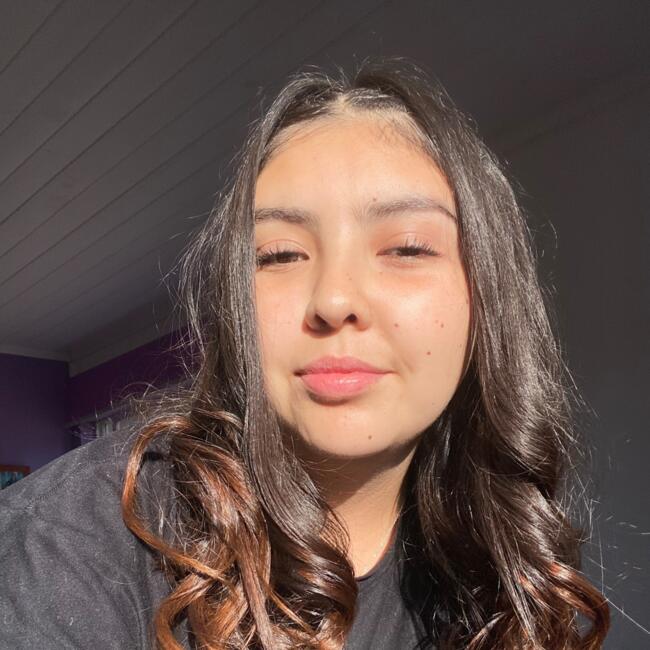 Babysitter in Port Montt: Constanza