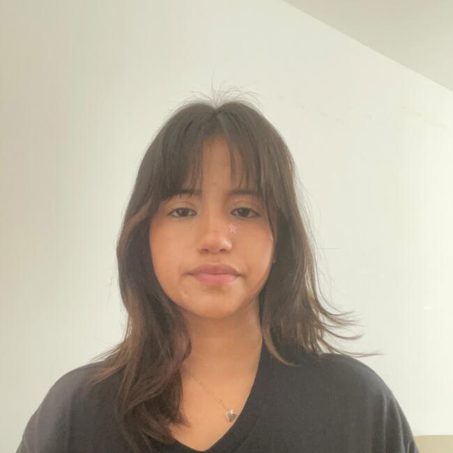 Babysitter in Union City: Renata