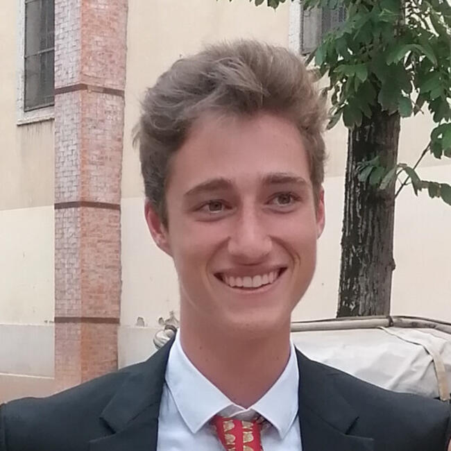 Babysitter in Stillorgan: Paul