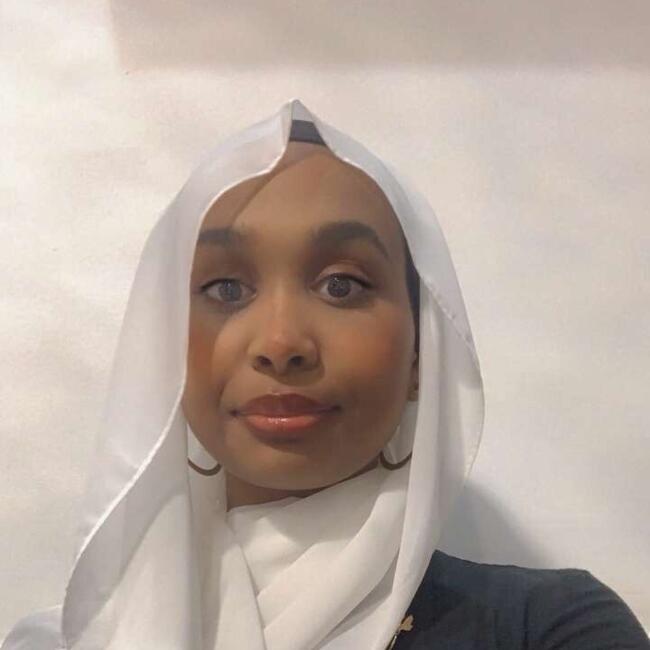 Babysitter in Toronto: Aseel (Charlotte)