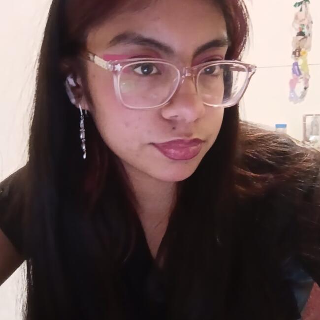 Babysitter in Mexico City: Briseida