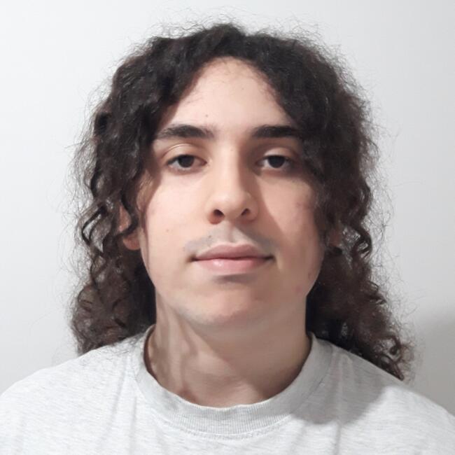 Babysitter in Leiria: Davi