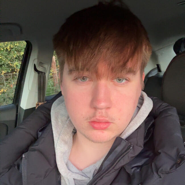 Babysitter in Shrewsbury: Orlando