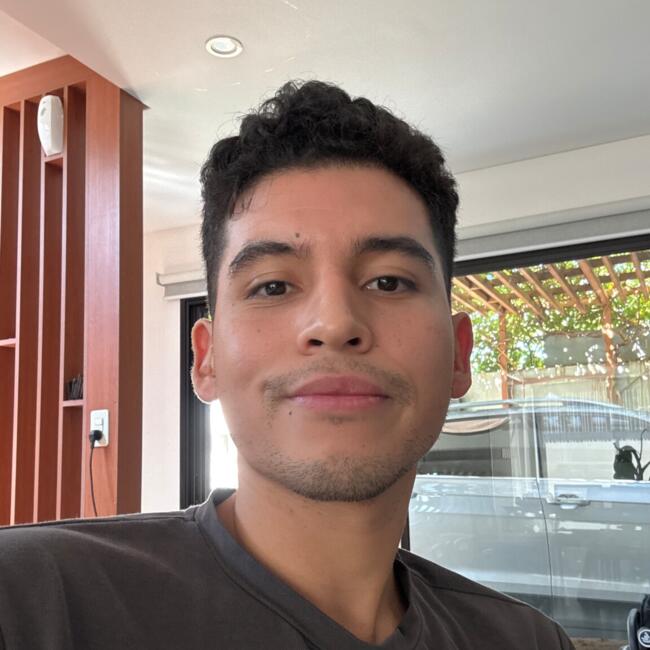 Babysitting job in Asunción: Nicolas Cubilla