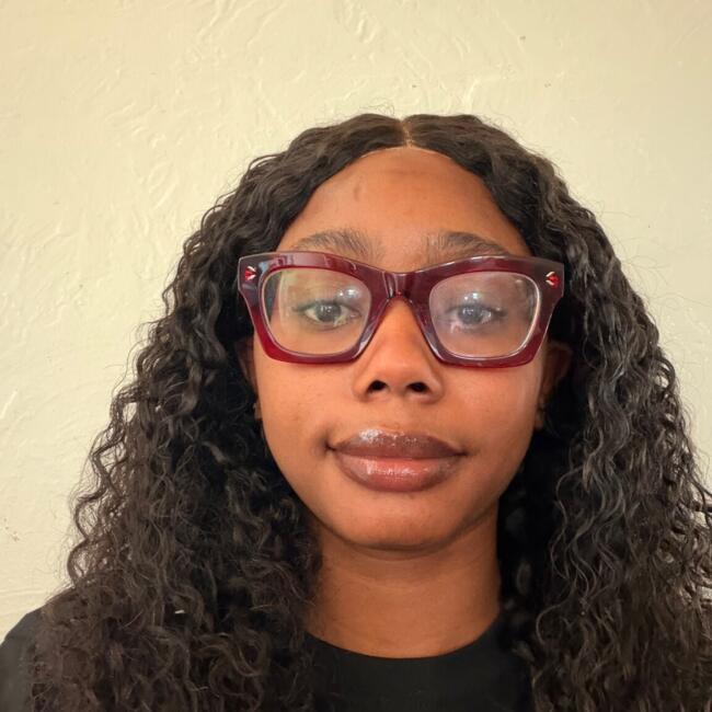 Babysitter in Elmont: Ann