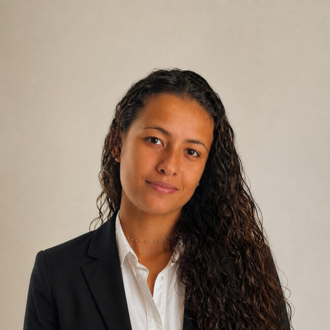 Babysitter in Paris: Romane