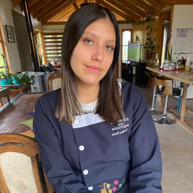 Babysitter in Santiago: Josefina