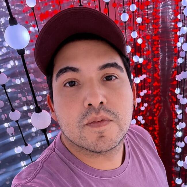 Babysitting job in Puente Alto: Felipe gonzalez