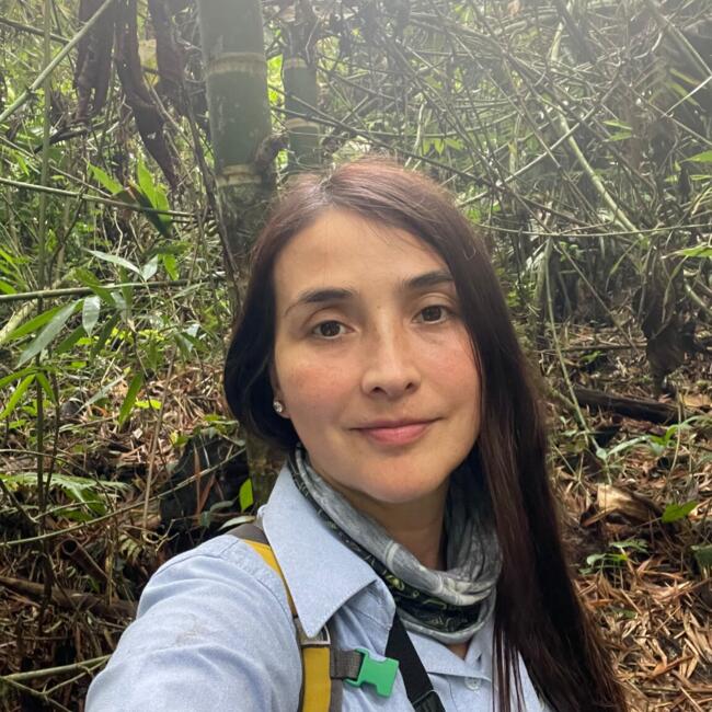 Babysitter in Bogotá: Adriana