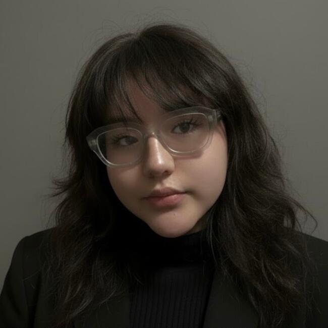 Babysitter in Chicago: Emily