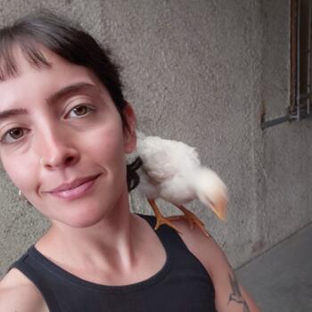 Niñera en Santiago de Chile: Cristina