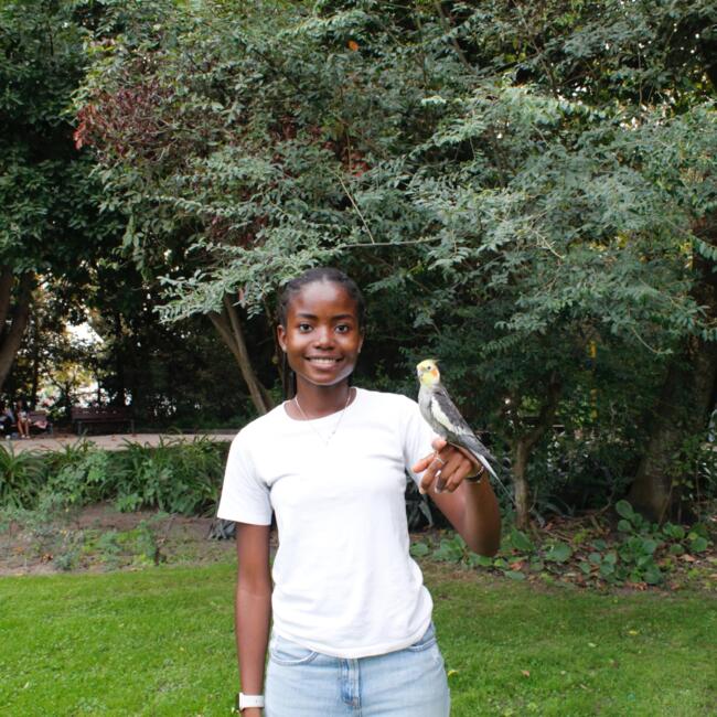 Babysitter in Montijo: Donélia