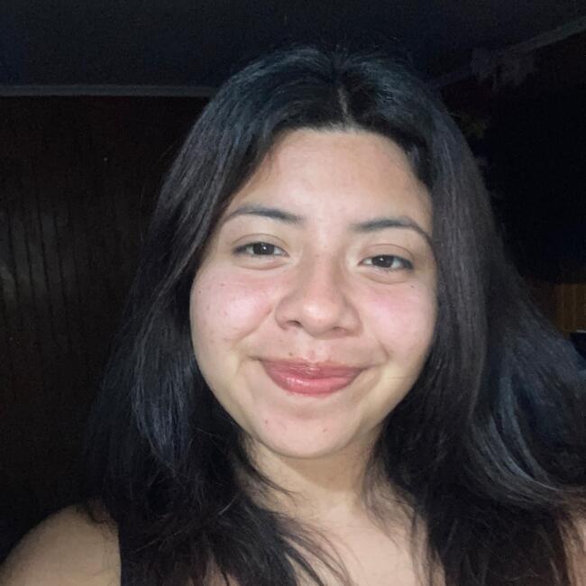 Niñera en Coquimbo: Solange andrea calizaya