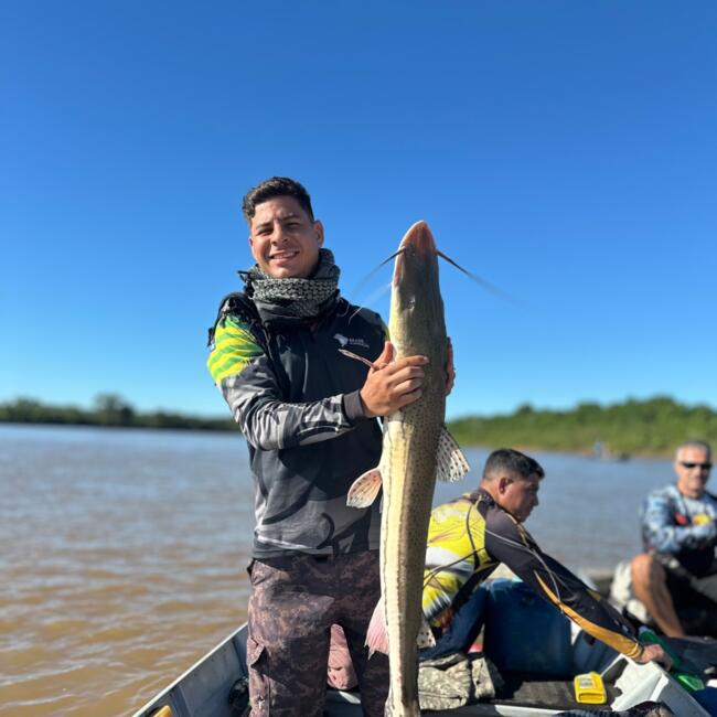Emprego de babá em Goiânia: Joao