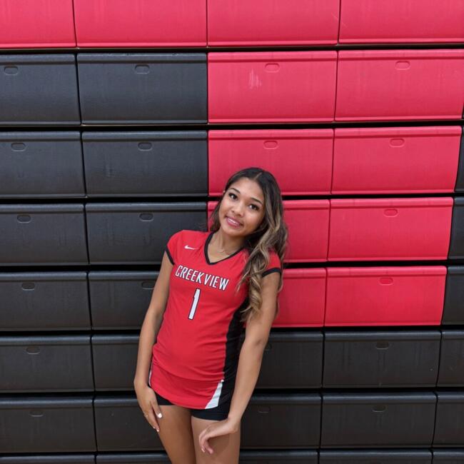 Babysitter in Dallas: Armadi