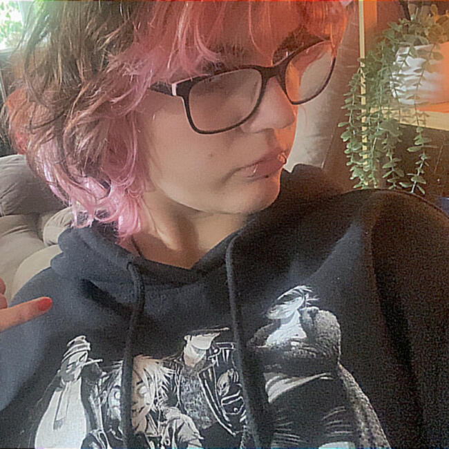 Babysitter in Palmerston North: Bonnie