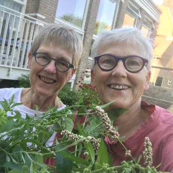 Oppas Haarlem: Hettie