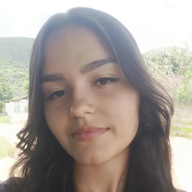 Babysitter in Lavras: Alvina