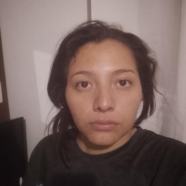 Babysitting job in Tlalpan: Polet