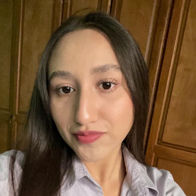 Babysitter in Saltillo: Alisson