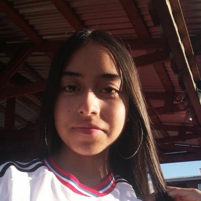 Babysitter in Concepción: Francisca