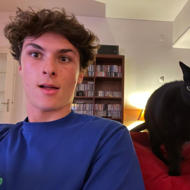 Babysitter em Lisboa: Martim mendes