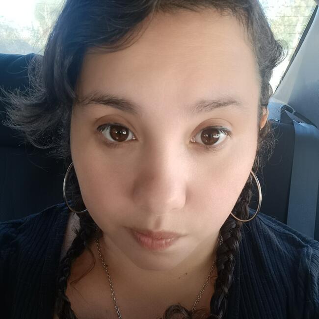 Babysitting job in Quilpué: Mariapaz