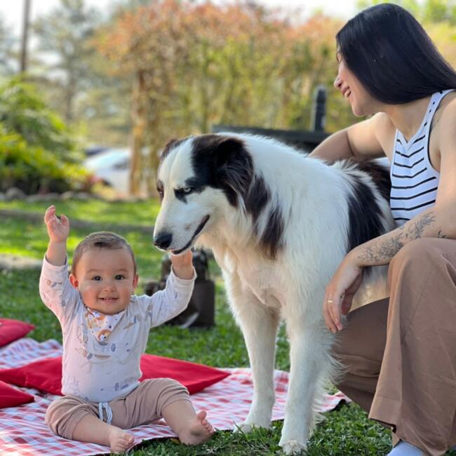 Babysitting job in Tramandaí: Catia