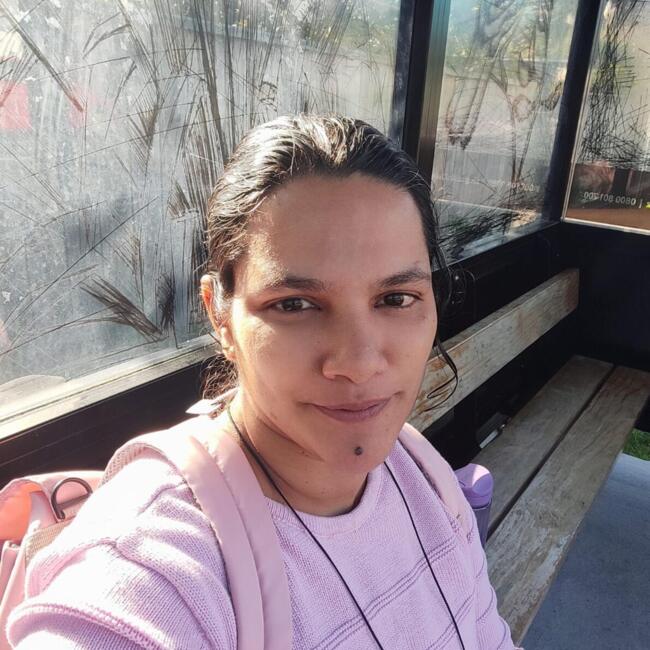 Babysitter in Palmerston North: Teresa