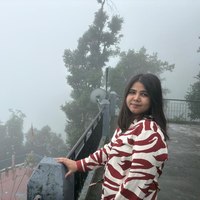 Ghāziābād में बेबीसिटर: Ankita