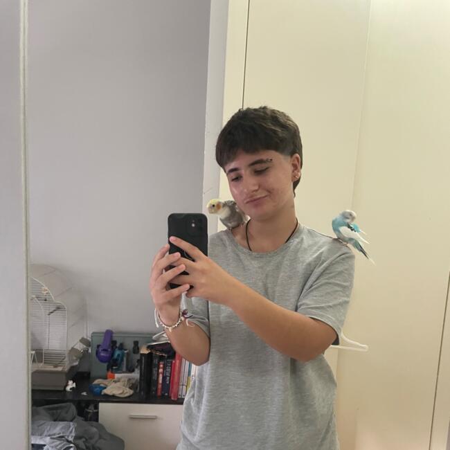 Canguro en Calella: Niccolò