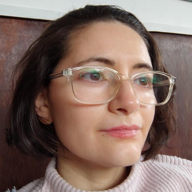 Niñera en Renca: Suander