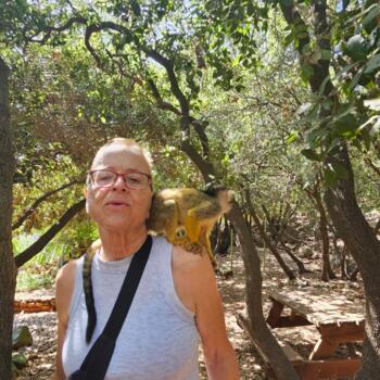 Babysitter in Afula: אורית