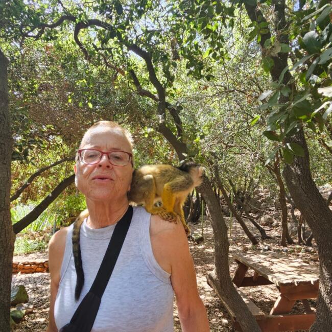 Babysitter in Afula: אורית