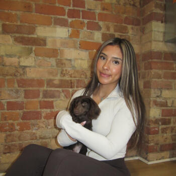 Baby-sitter in York (Toronto county): Brianna