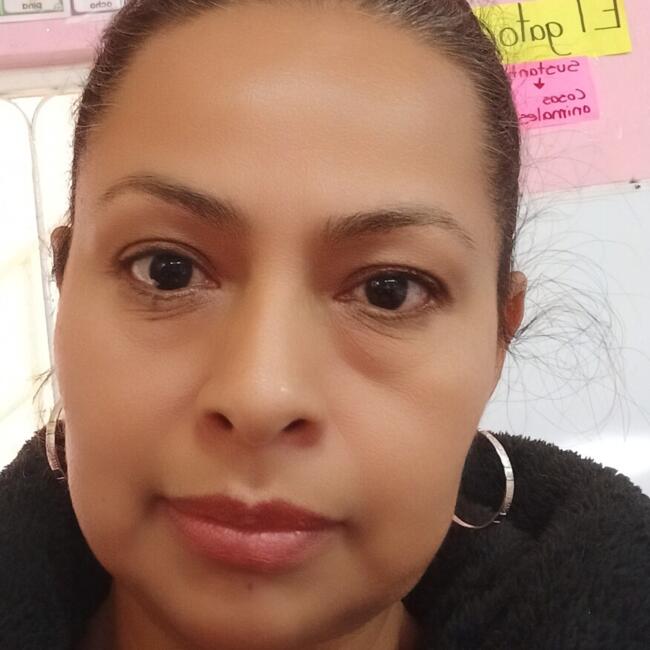 Babysitter in Irapuato: Irma Edith
