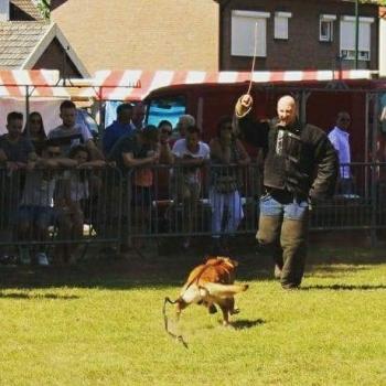 Oppasadres in Meppel: Patrick