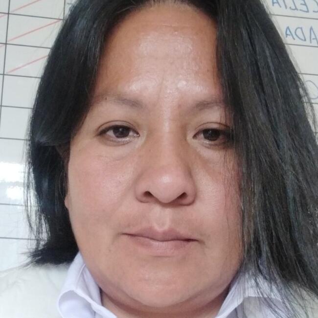 Babysitter στην περιοχή Huancayo: Ada Virginia