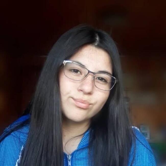 Babysitter in Ancud: Brenda