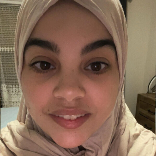 Babysitter in Arlington (Virginia): Wissam